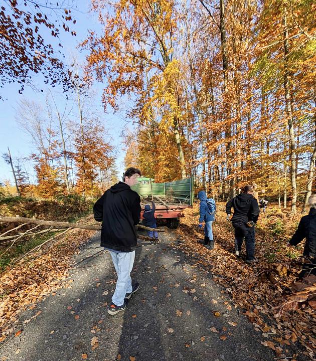 Bild: 20251129-171430-2.jpg